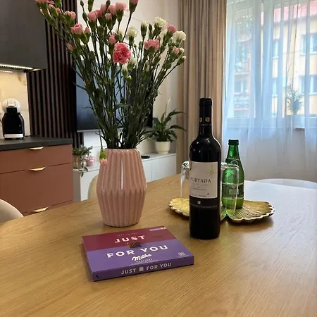 Mieszkanie Dla Rodziny 60m2 Apartament Nowa Ruda